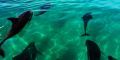 Tour Baja California Surf Trip  Viaggio di gruppo