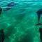 Tour Baja California Surf Trip  Viaggio di gruppo