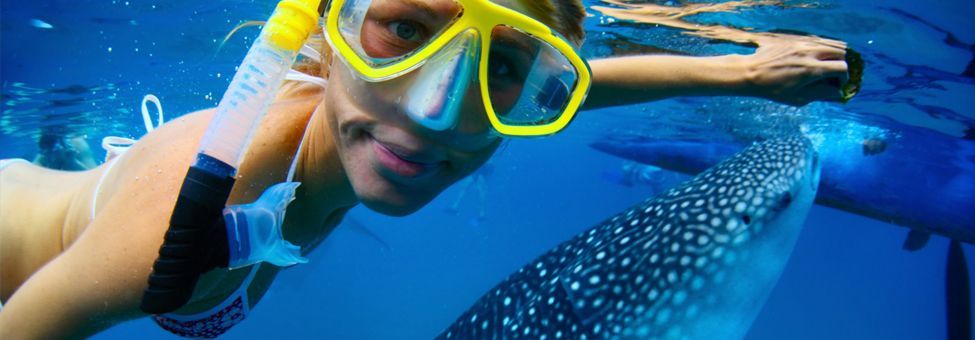 Snorkeling e Diving in Baja California
