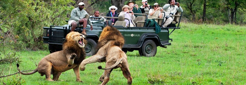 SAFARI IN SUD AFRICA