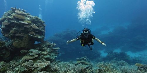 Diving Ayada Resort